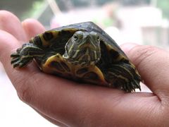 -苏州河梦清园环保主题公园