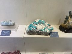 -安徽省地质博物馆