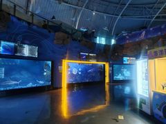 -烟台海昌鲸鲨海洋公园