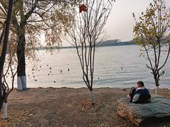-丁香湖公园