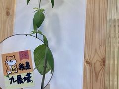 -呷贺盐酥鸡(抄纸巷店)
