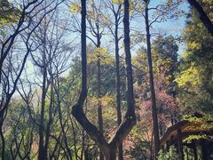 -蝴蝶泉公园