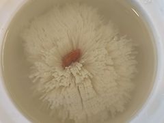 -东园小馆·早茶·淮扬小炒(水街店)