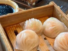 -侨美·唐荔园·40年地道粤菜