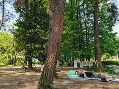 -铁山坪森林公园