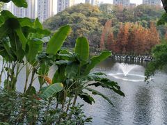 -重庆彩云湖湿地公园