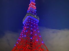 -东京塔海贼王主题公园