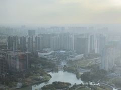 -嘉定凯悦·咖啡厅