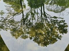 -云溪植物园