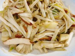 -张鸟园农家乐(张鸟园店)