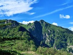 -牛背梁国家森林公园