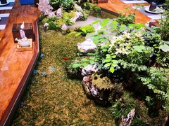 -森味薪火烧•烧鸟居酒屋•日本料理(望京店)