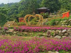 -广东天露山旅游度假区