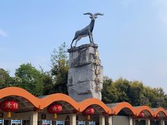 -成都动物园