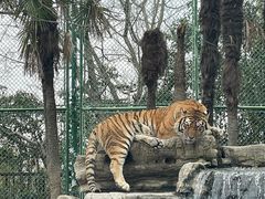 -上海野生动物园