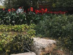 -绿堤公园