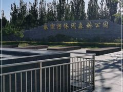 -永定河休闲森林公园