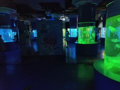 -重庆欢乐海底世界