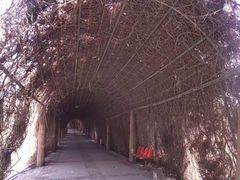 -红光山景区
