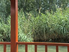 -白洋淀景区
