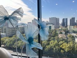 点击看大图 -智美品质医美