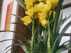 -大院河·仙鱼莊(九眼桥店)