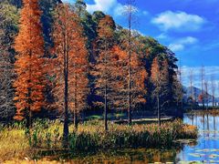 -广州市石门国家森林公园