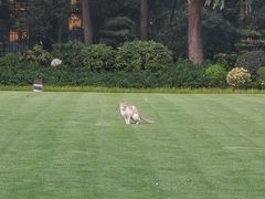 -静安公园(静安寺街道)