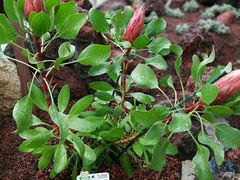 -南通洲际绿博园