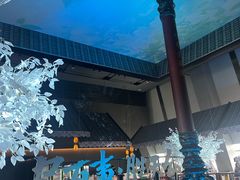 -上海环球金融中心骑迹50年环球之旅