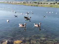 -青海湖国家重点风景名胜区