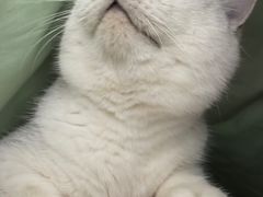 -安安宠医·安烨宠物医院·宠物保险(北仑分院)