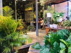 -Rainforest