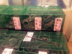 水产区-荔城生鲜盛宴(番禺旗舰店)