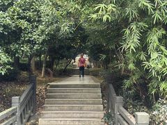 -九龙潭景区