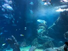-暹罗海洋世界