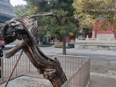 -大钟寺古钟博物馆