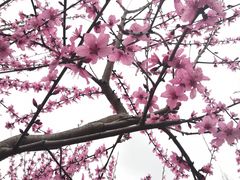 -堤角公园