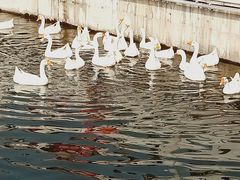 -西安汉城湖景区