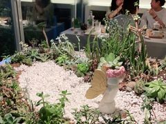 -春树下·树屋花房西餐厅(罍街AS1980店)