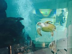 -鸿通城购物中心