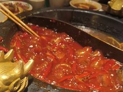 -蜀大侠火锅(总府路店)