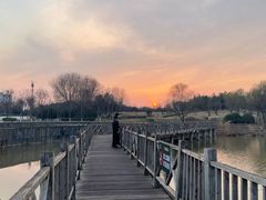 -西安浐灞国家湿地公园