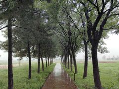 -汉长安城未央宫国家考古遗址公园