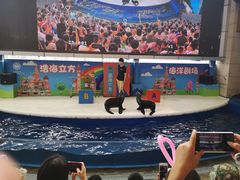 -成都浩海立方海洋公园