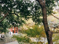 -岳王庙