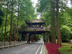 -青城山