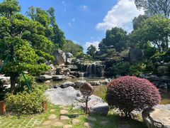 -东莞植物园