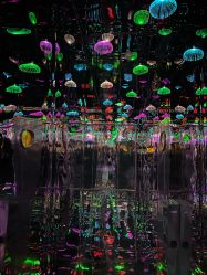 -疯狂冒险家-亲子密室-东坝店(金隅嘉品店)