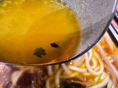 -老张牛肉面(天津万象城店)
